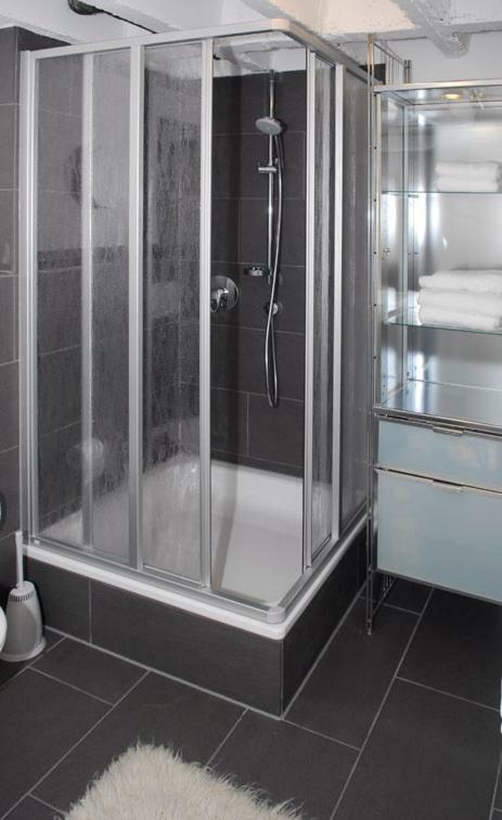 Ferienwohnung Huebschle คอนสตานซ์ ภายนอก รูปภาพ